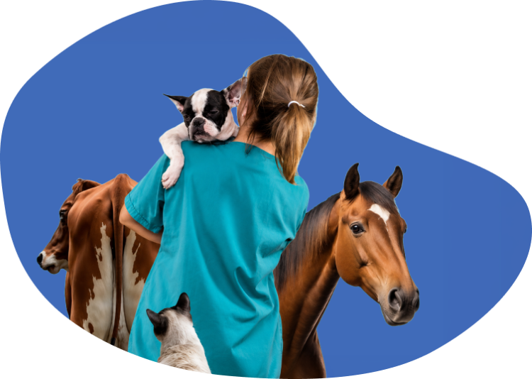 Animais Chemitec